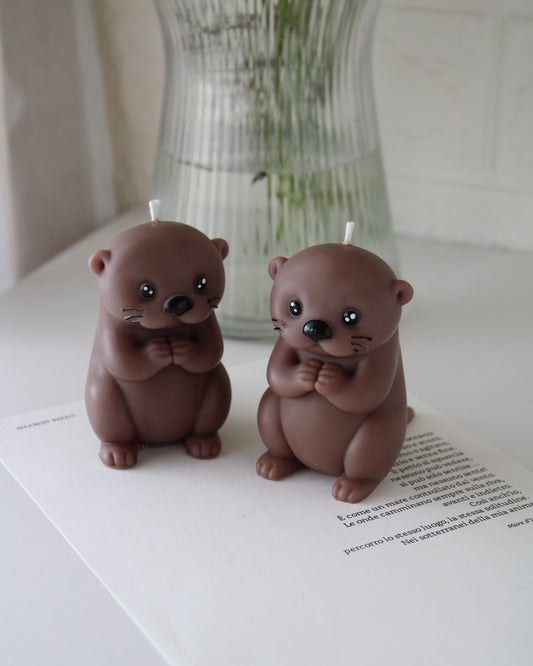 Little Otter