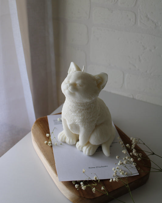 Sussurro Felino