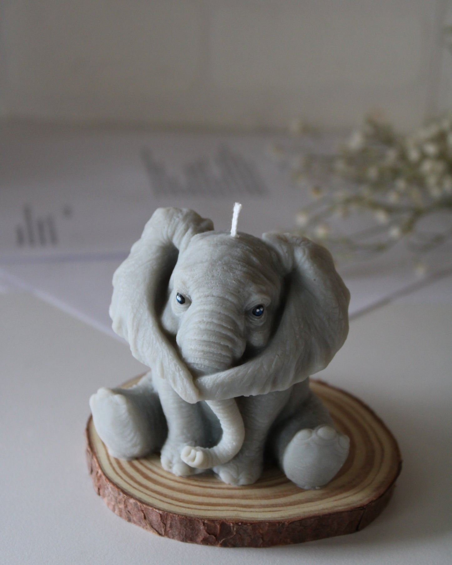 Dumbo