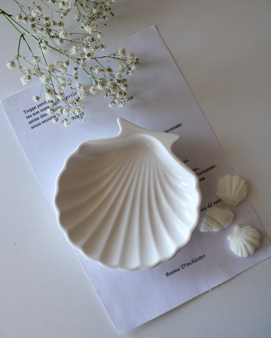 Piatto Conchiglia