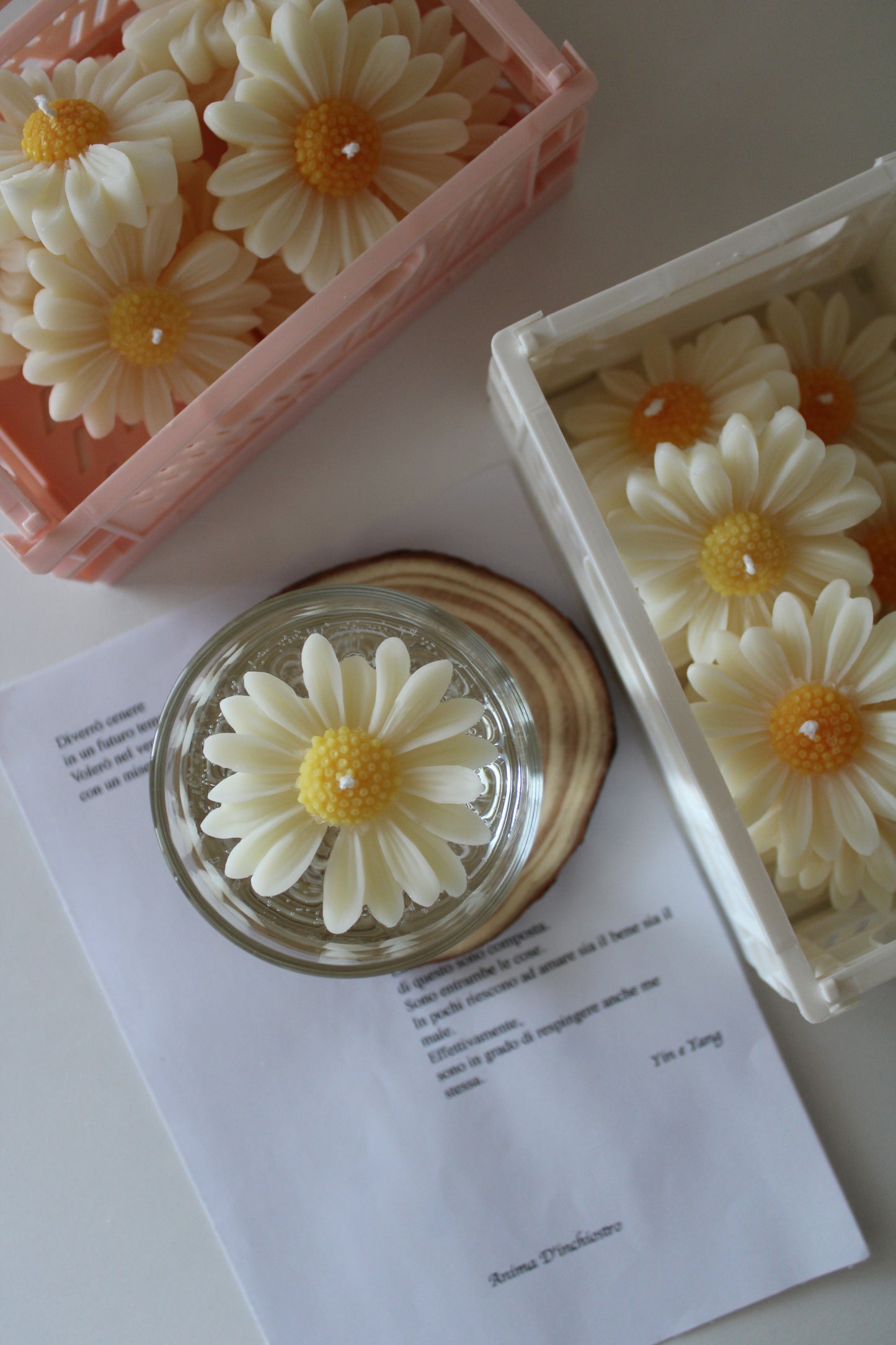 Floating Daisies