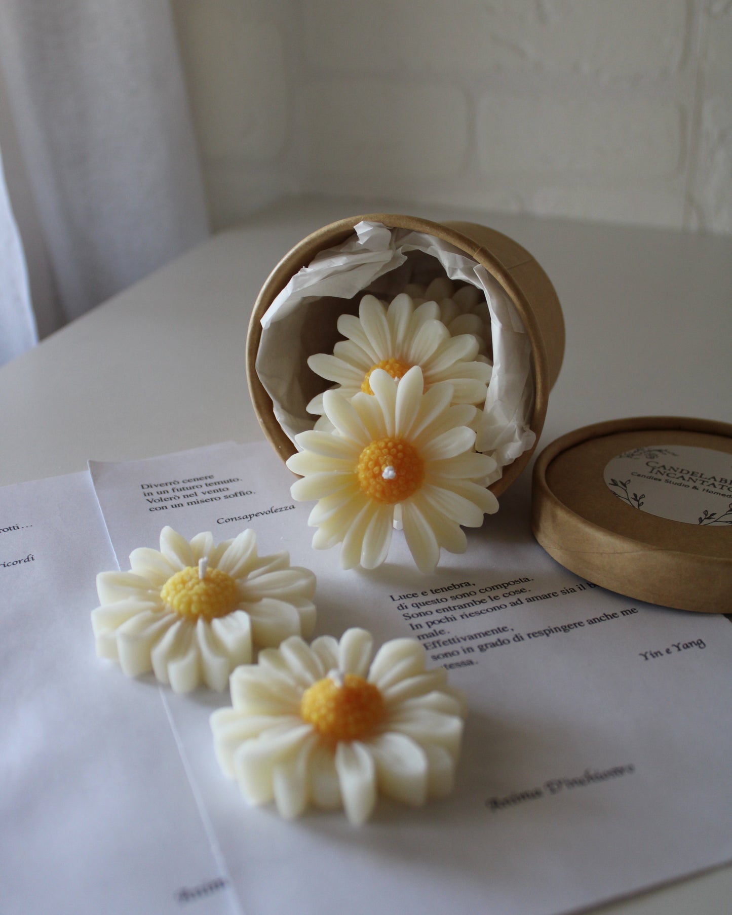 Floating Daisies