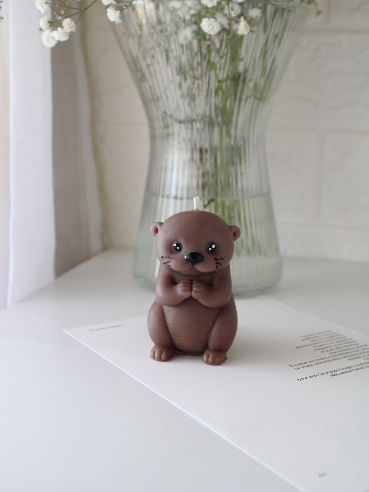 Little Otter