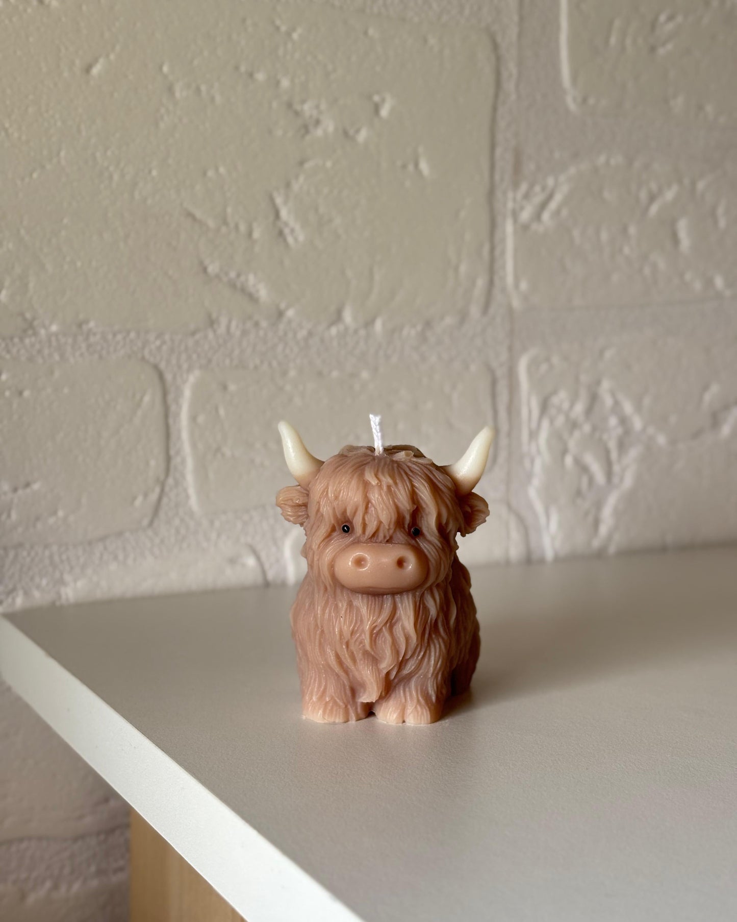 Mucca Highlander